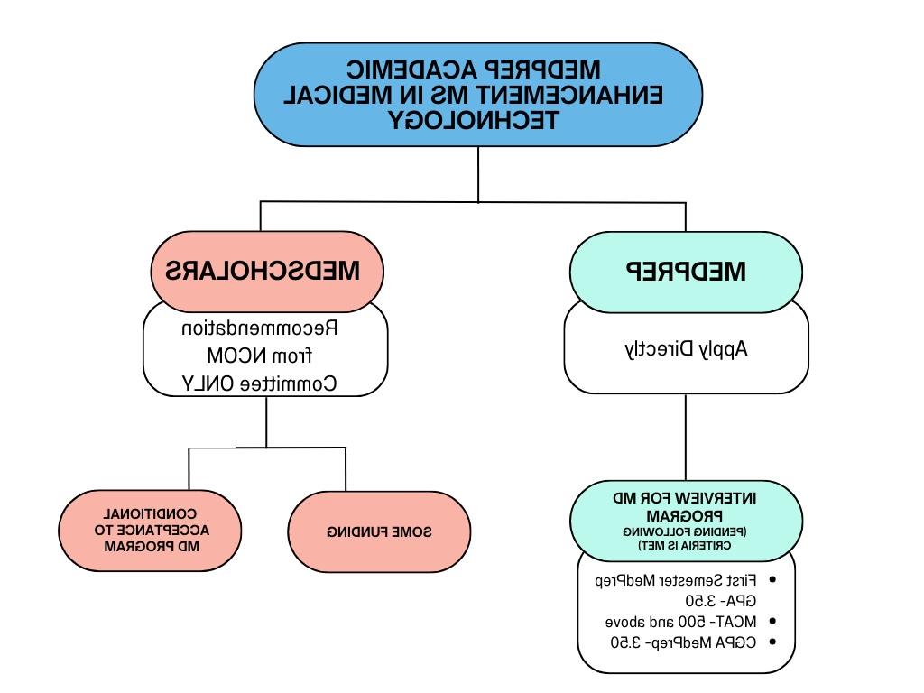 医学学者组织结构图-路径.