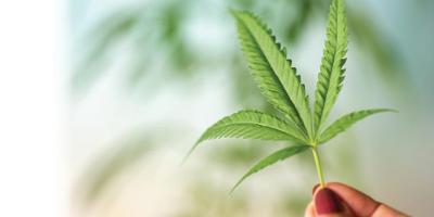 5 considerations for marijuana use in cancer treatment